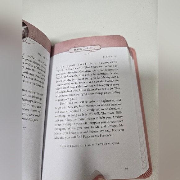 Pink Leather 'Jesus Calling' Devotional By Sarah Young - Picture 4 of 5